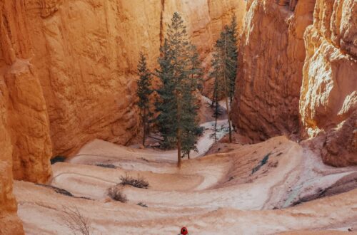 Bryce Canyon National Park 3