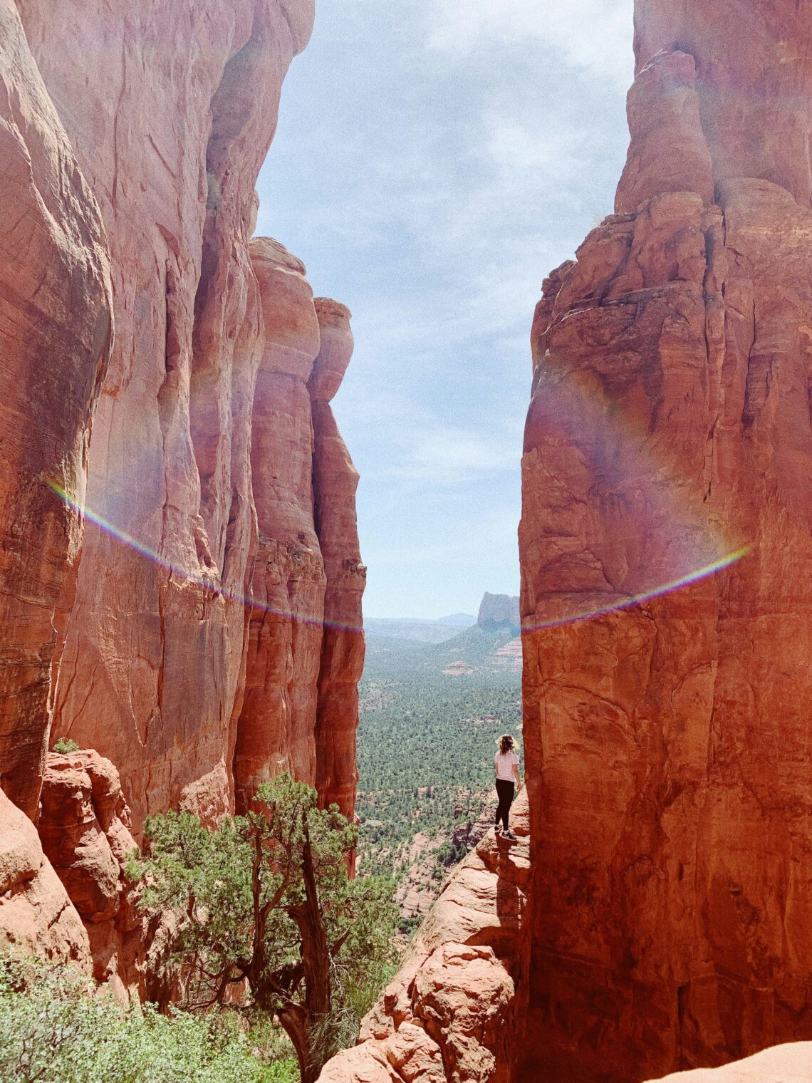 Cathedral Rock Trail 1