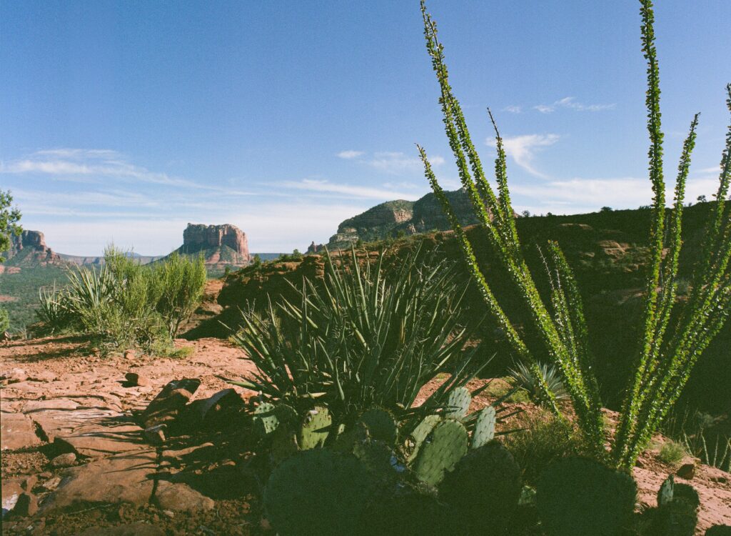 Cathedral Rock Trail 3