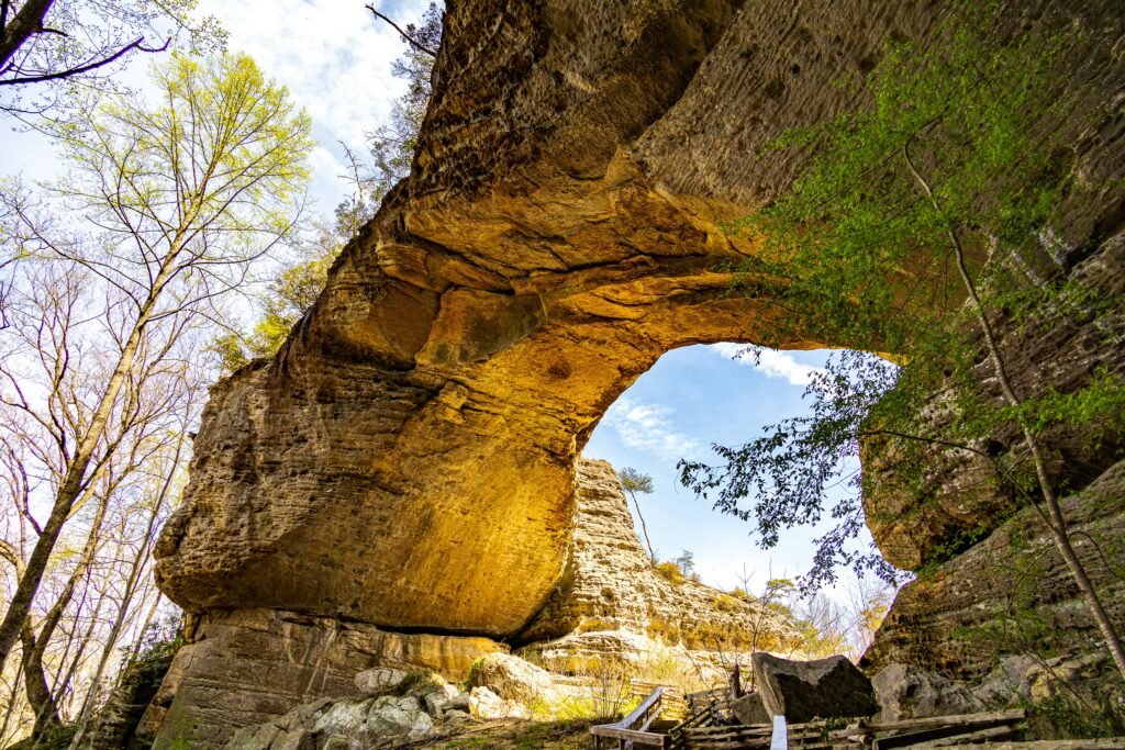 Daniel Boone National Forest 2