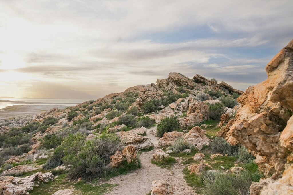 Antelope Island State Park