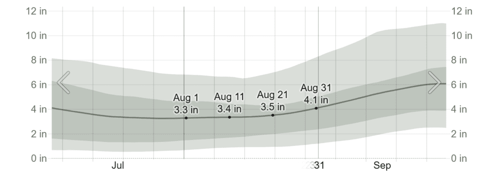 Average Monthly Rainfall in August in Cancún