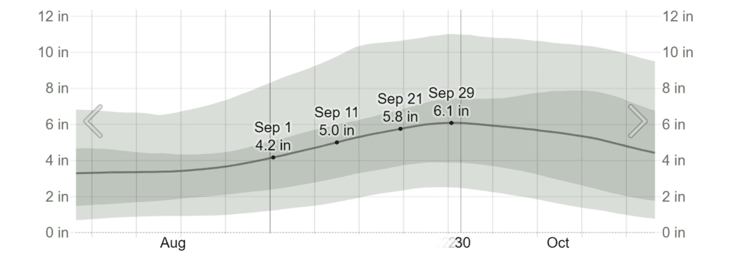 Average Monthly Rainfall in September in Cancún