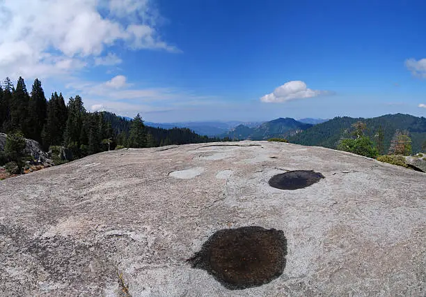 Beetle Rock sequoia
