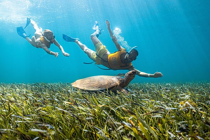 Cancun snorkeling