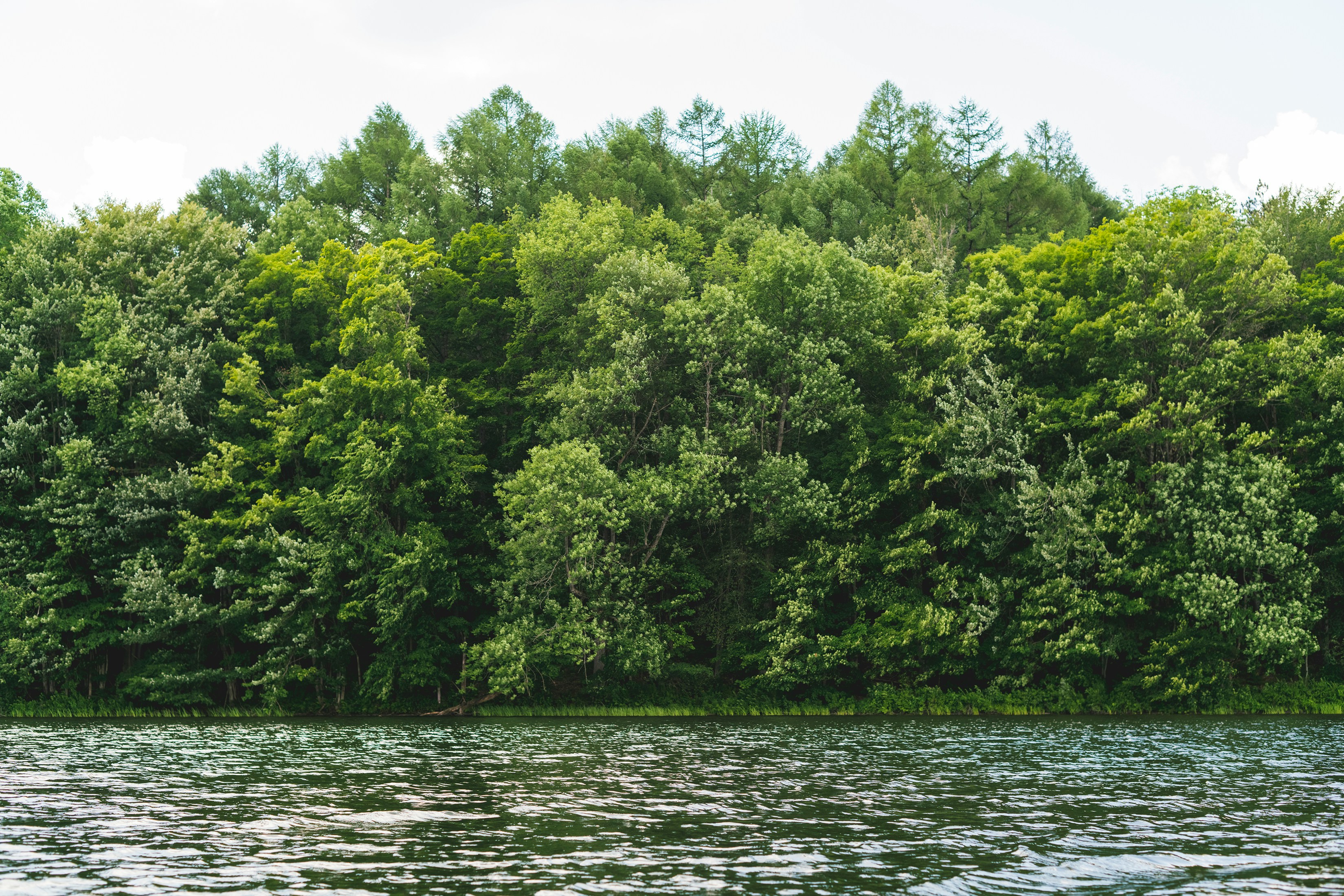 Delaware River