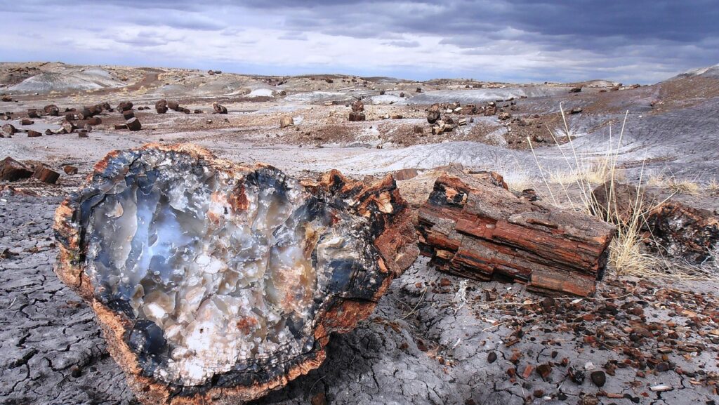  Escalante Petrified Forest State Park