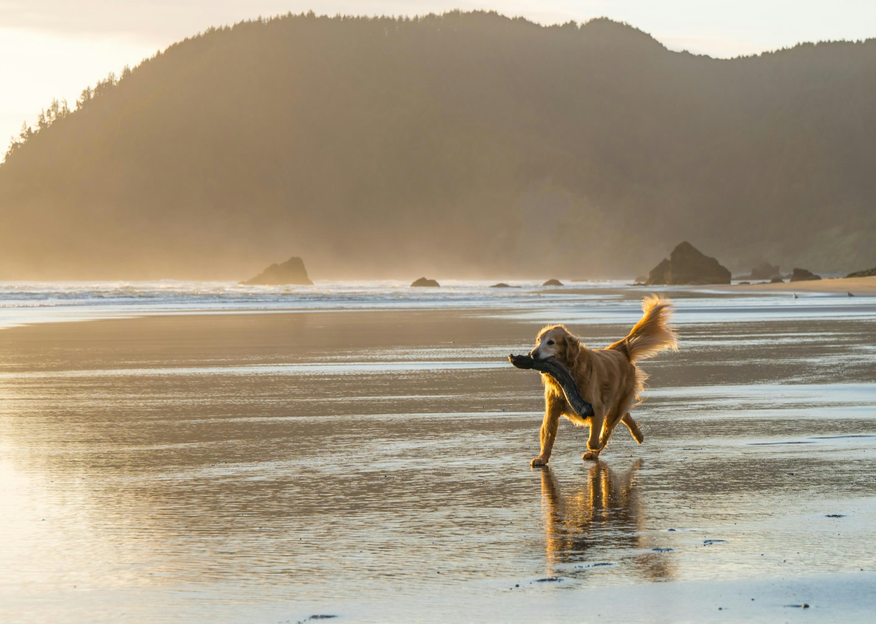 Gold Beach, Oregon