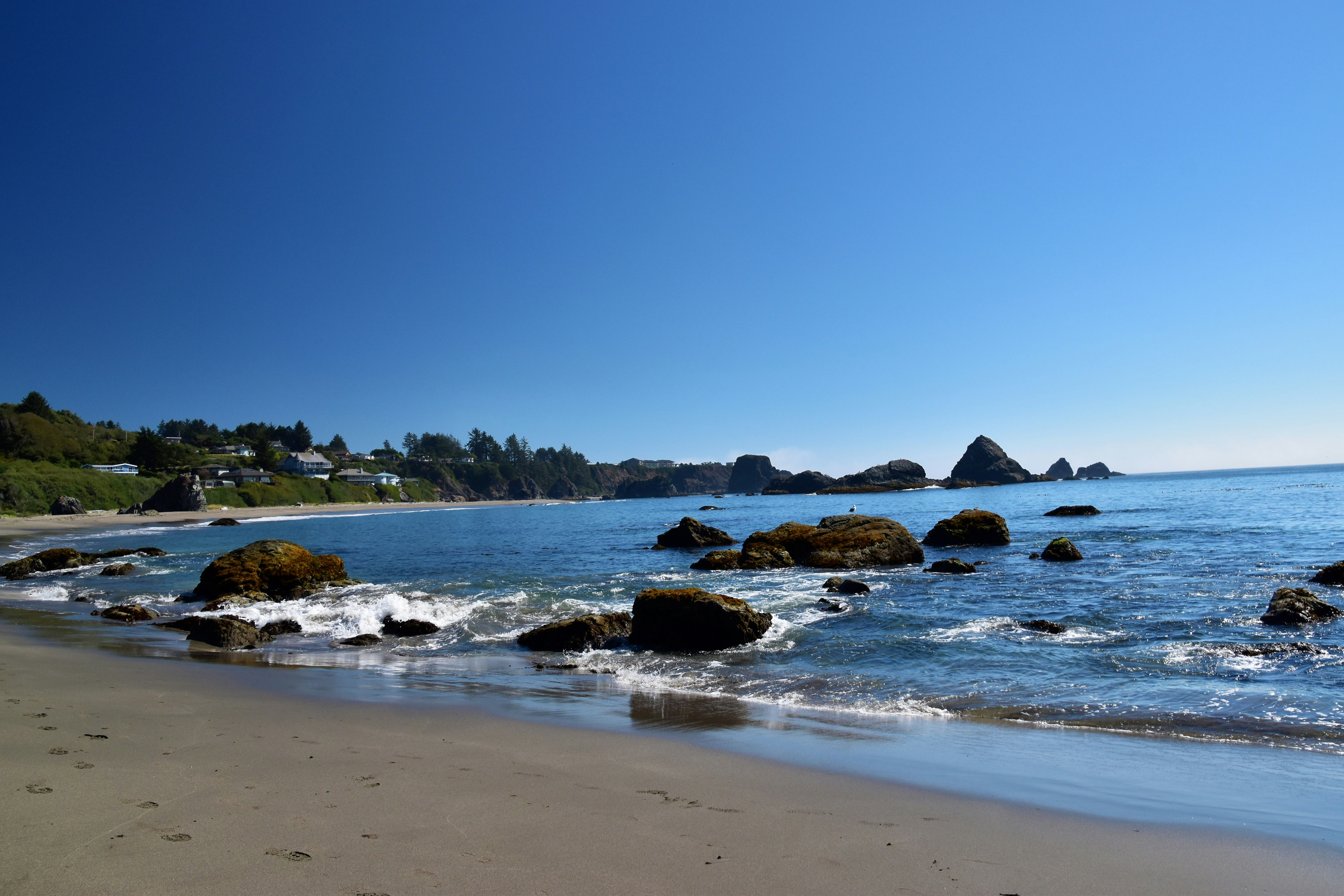 Harris Beach State Park