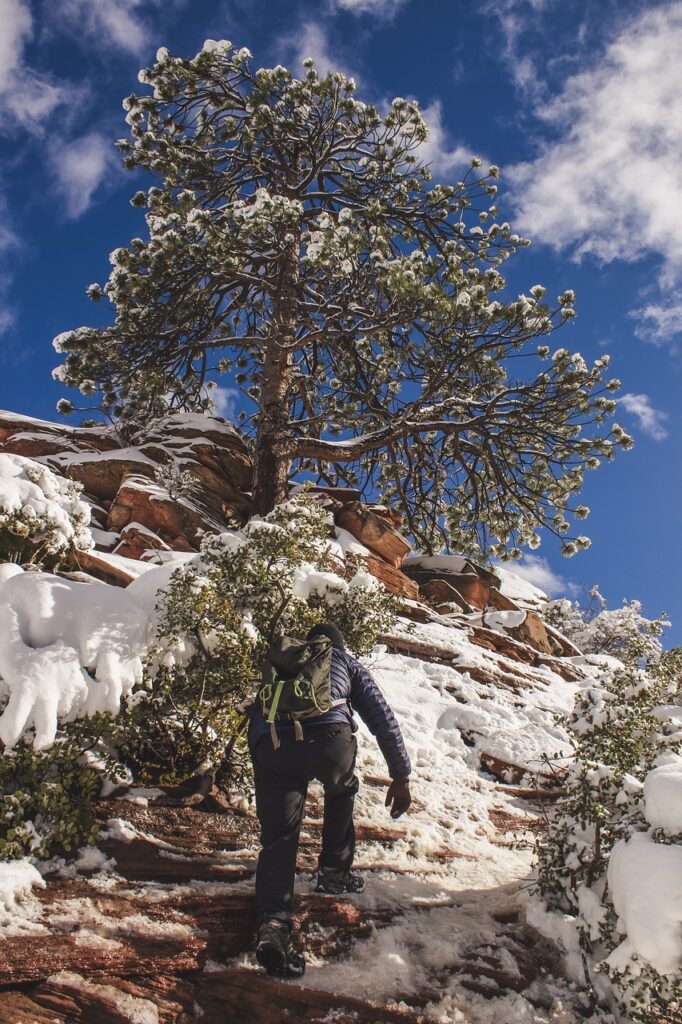 Hiking at Angels Landing