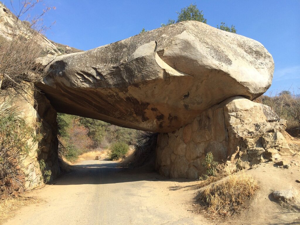 Hospital Rock sequoia