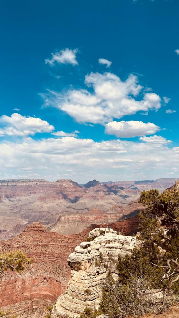 Observation Point 