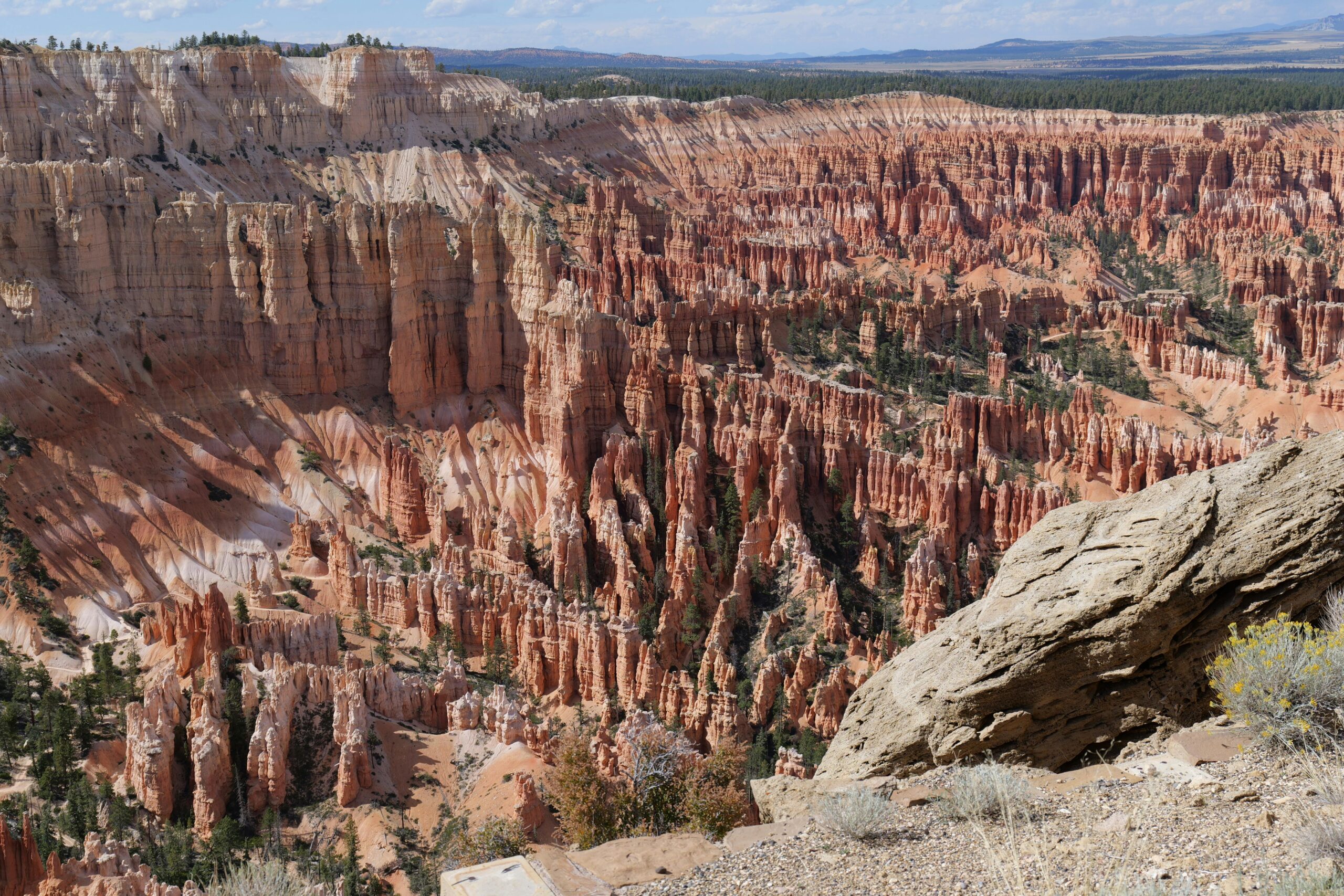 Observation Point