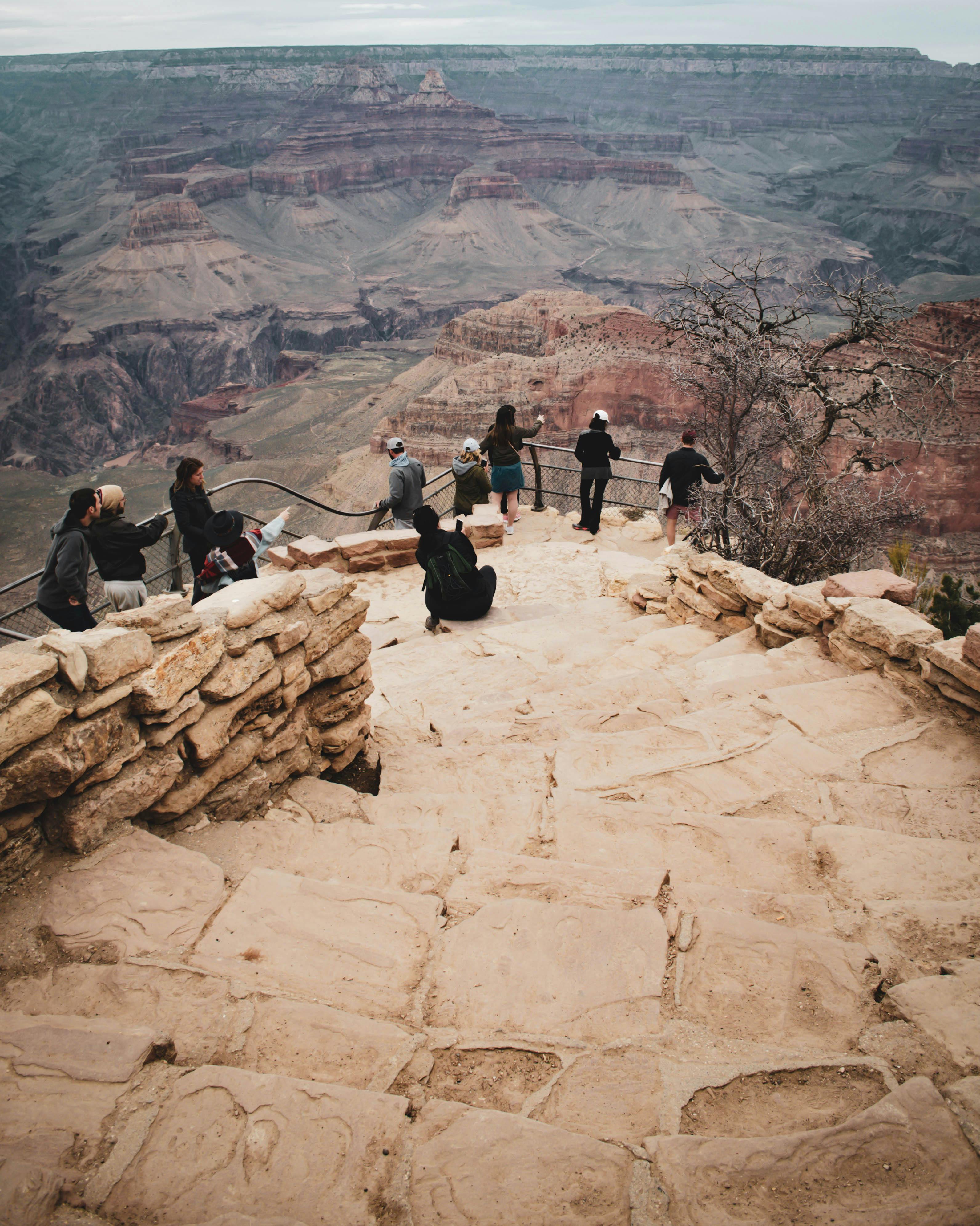 Observation Point 