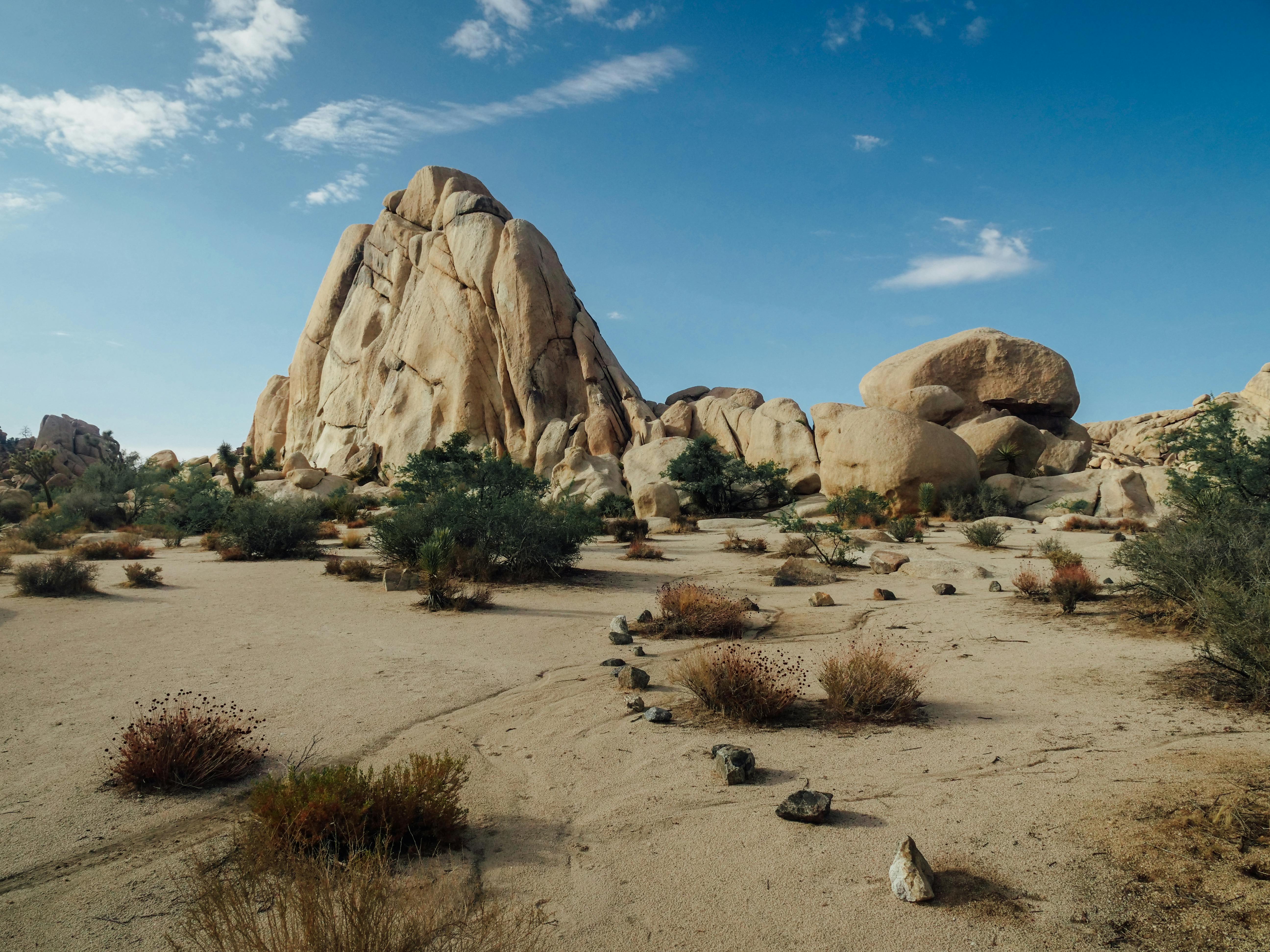 Rock formation in Joshua Tree National Park