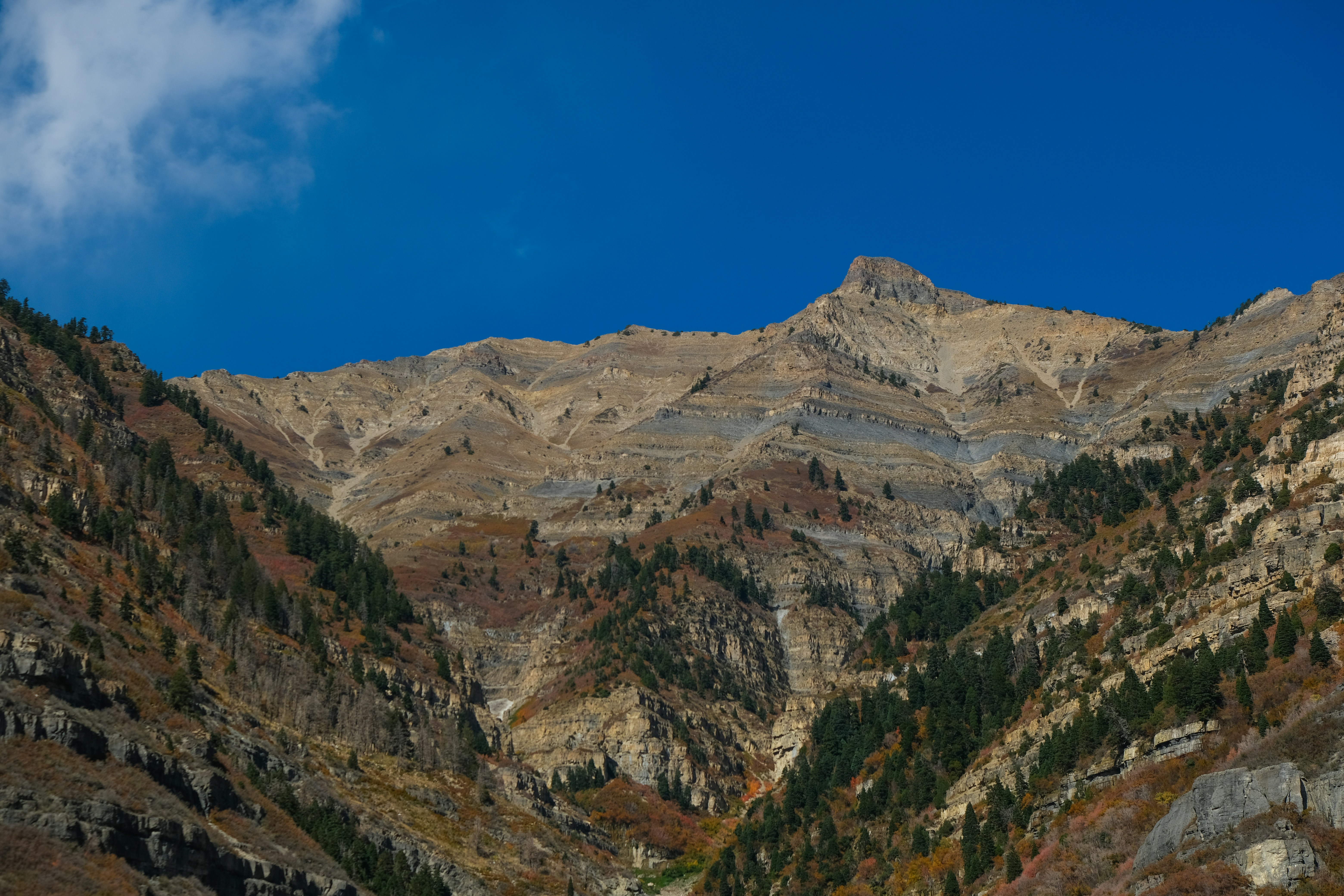 Wasatch Mountain State Park