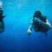 a man snorkeling