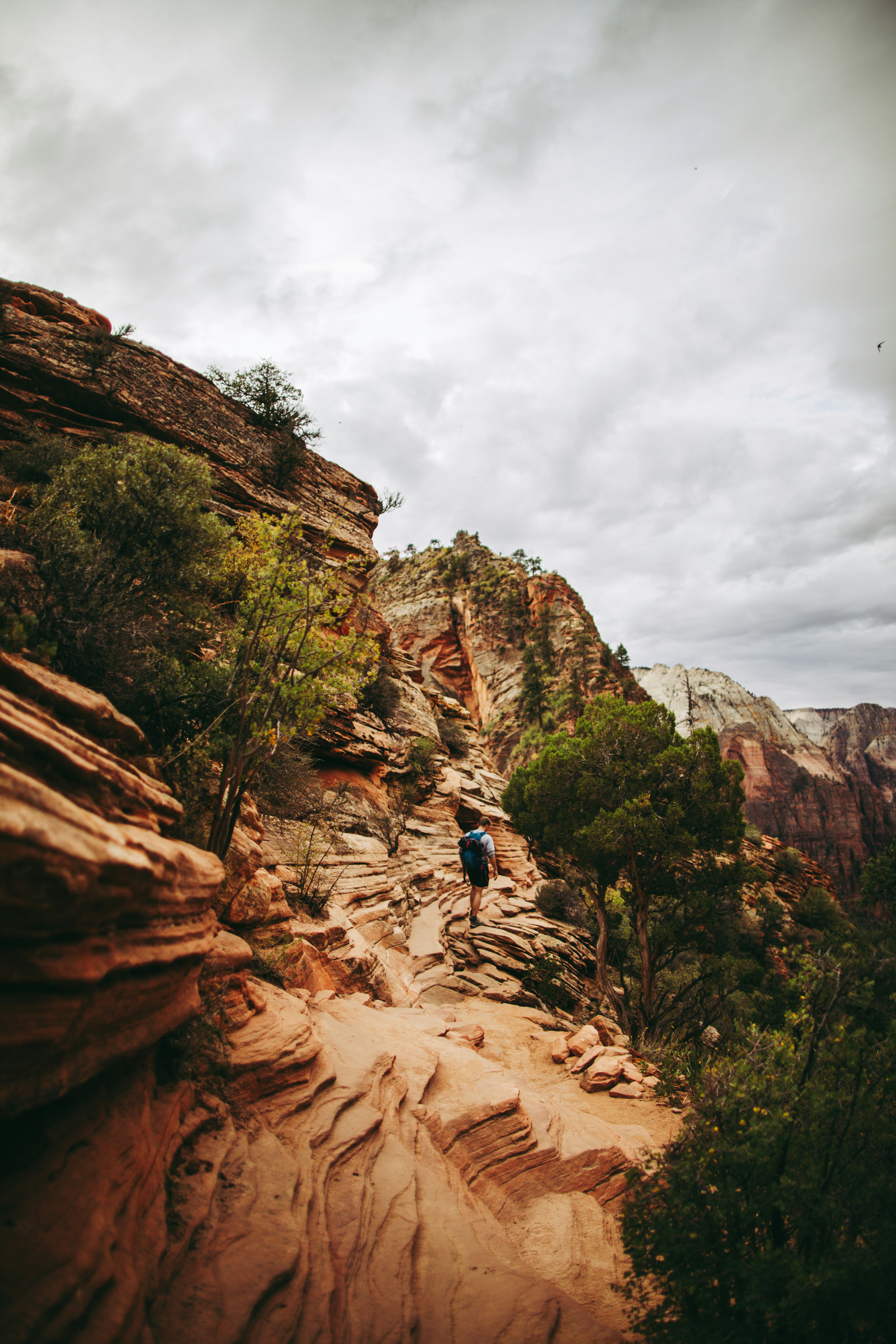 hike Angels Landing