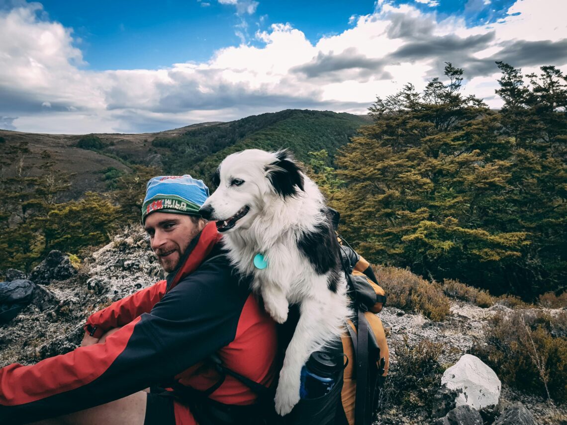 hiking with dog