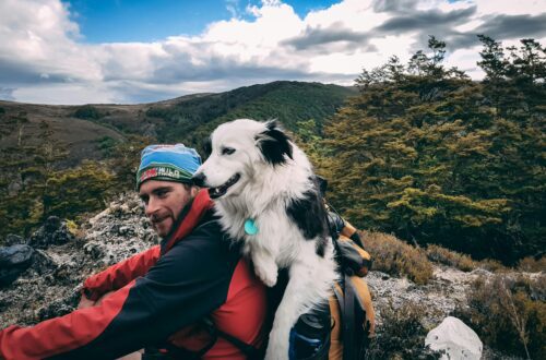 hiking with dog