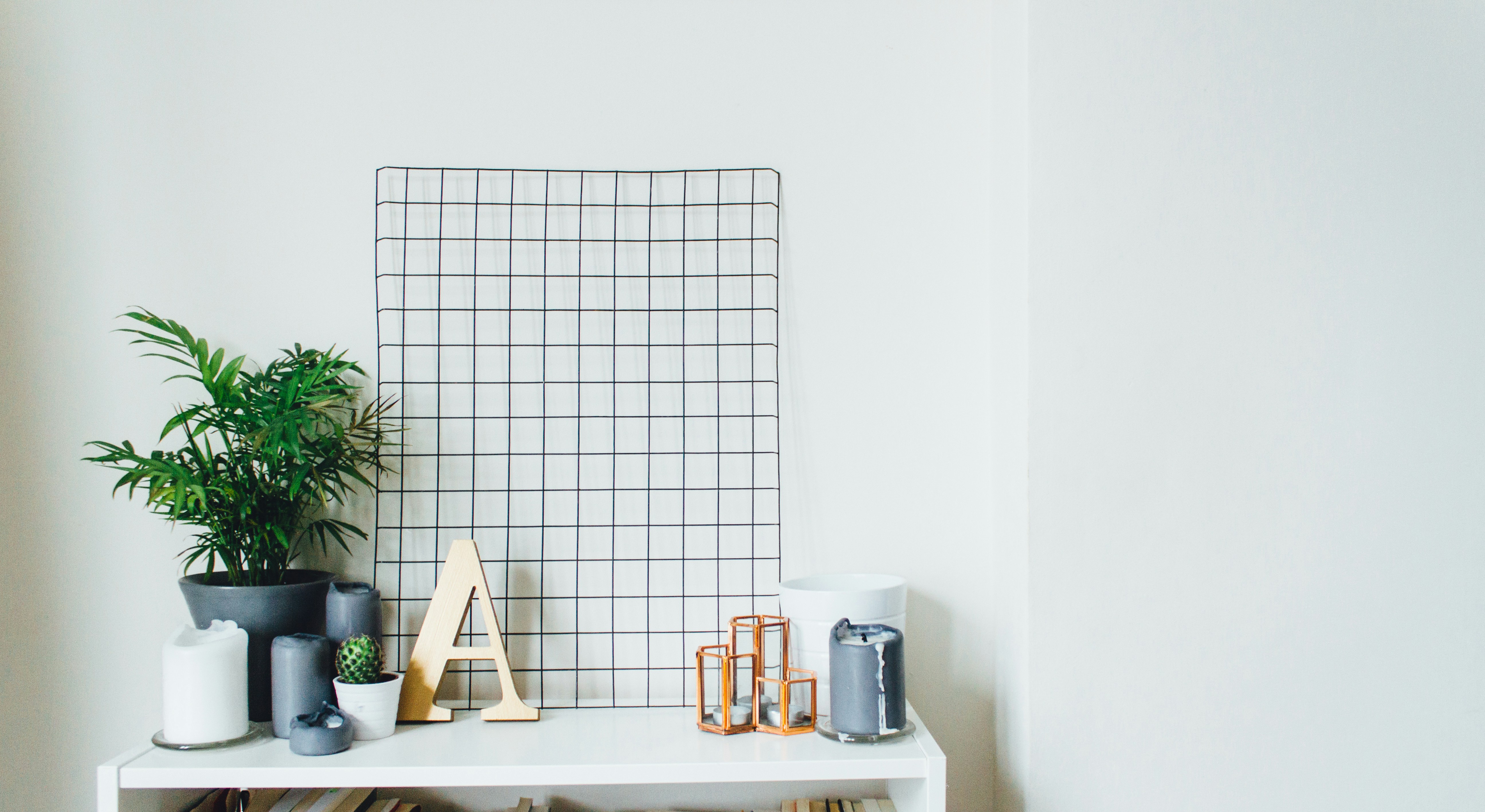 a student study corner with plant on the table