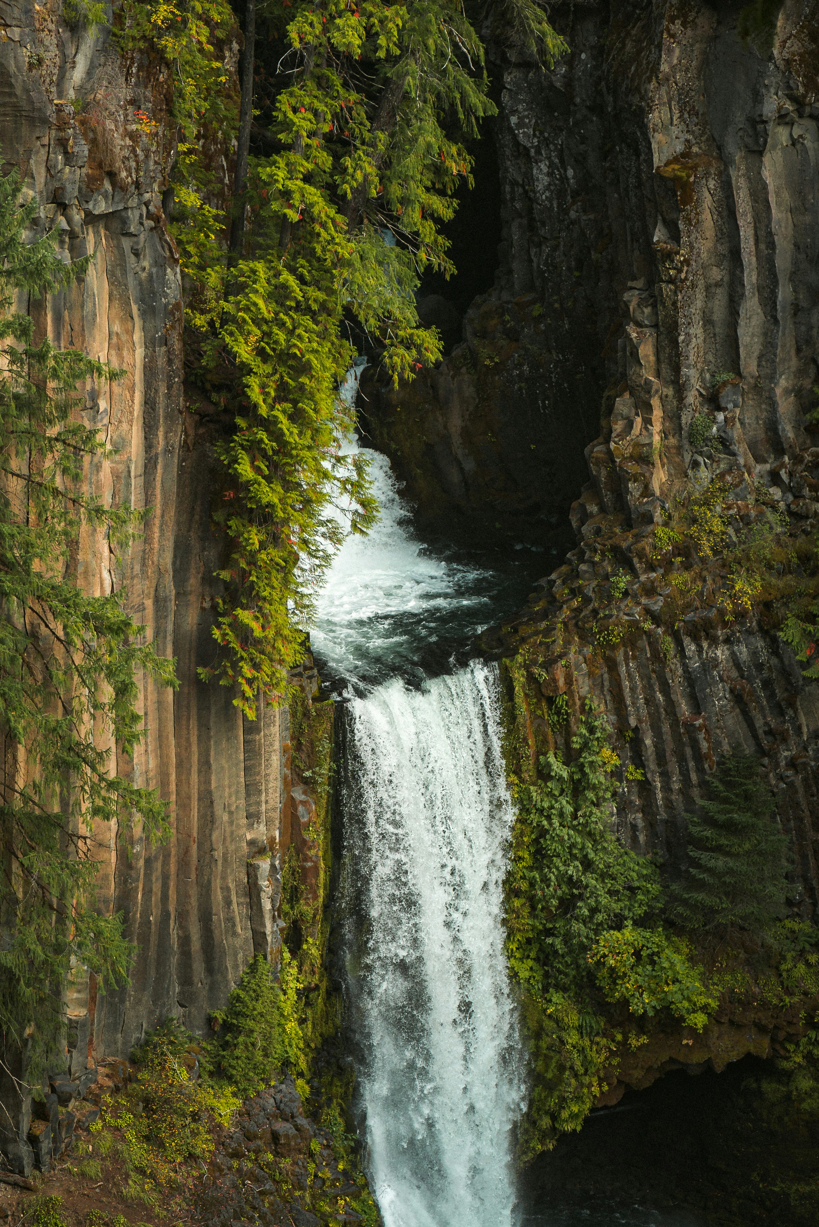 side view of Toketee Falls