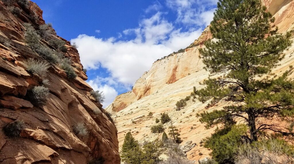 zion national park utah 