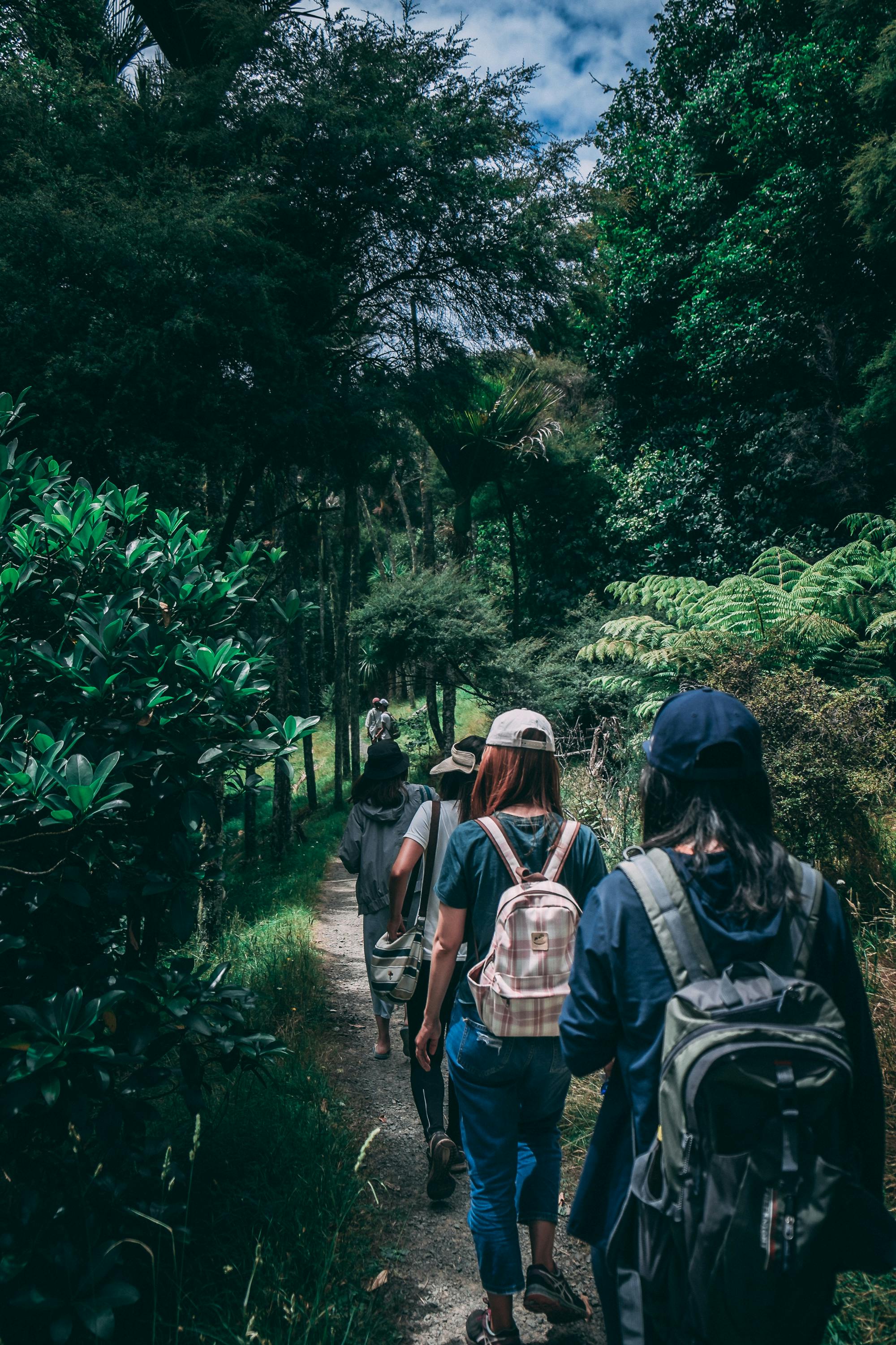 group of women hiking in the woods