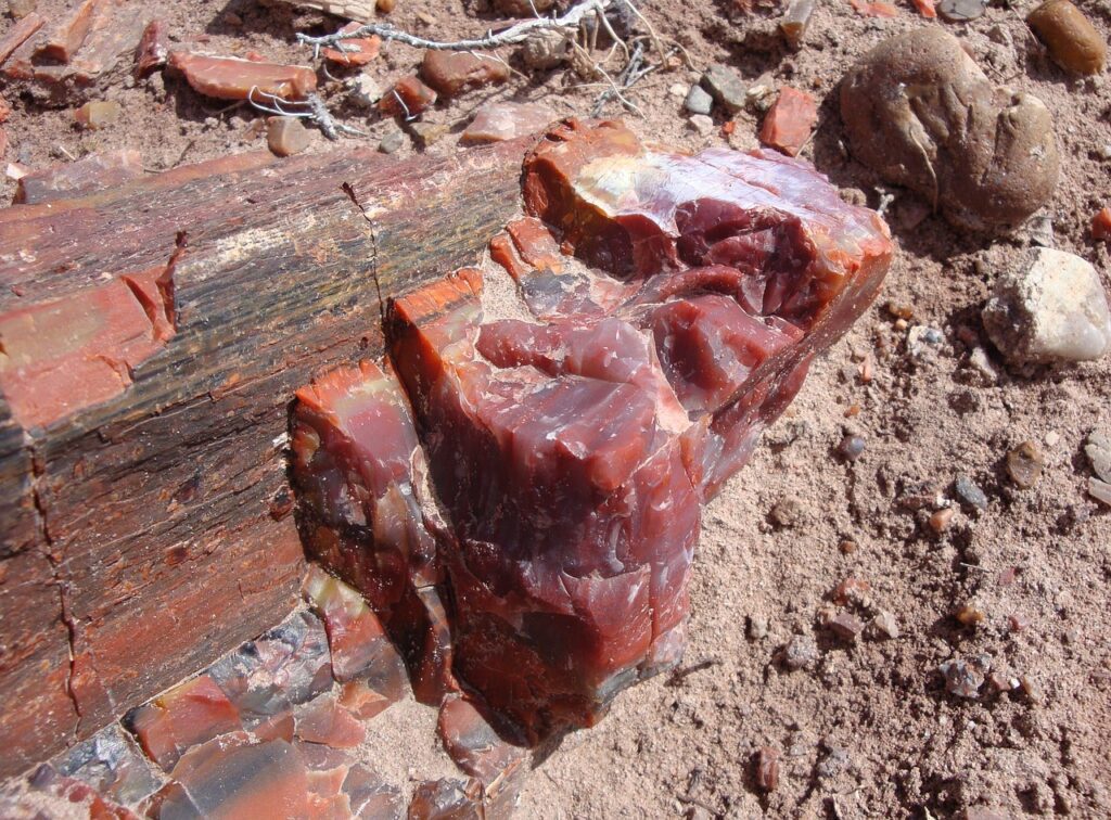 Petrified Forest National Park, Arizona